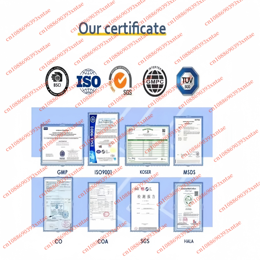 100% Pure N-Acetyl-L-Cysteine  – Nac N Acetyl Cysteine recenzja i cena