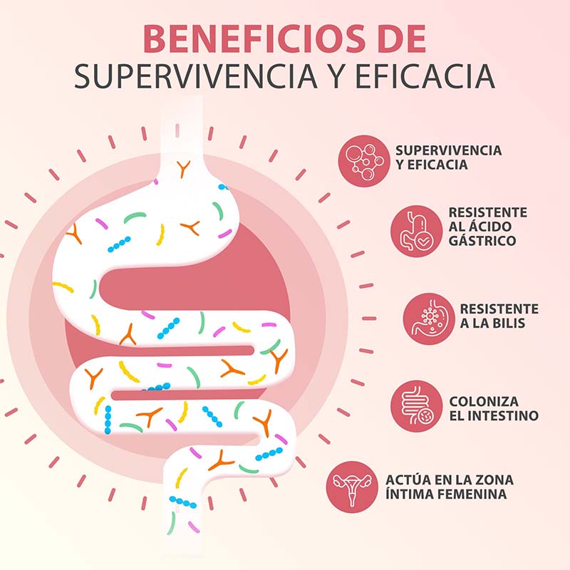PROBIOTICOS MUJER Capsules - H – Probiotics Women Health recenzja i cena